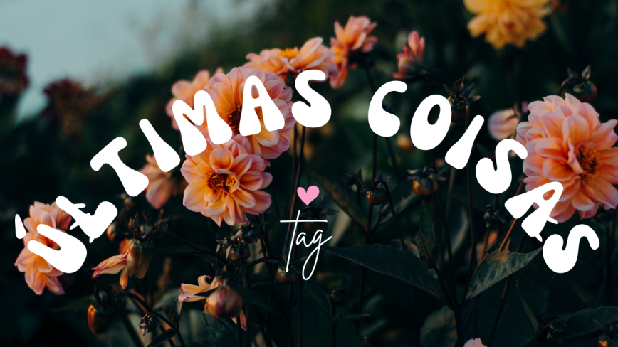 Tag: últimas coisas que fiz